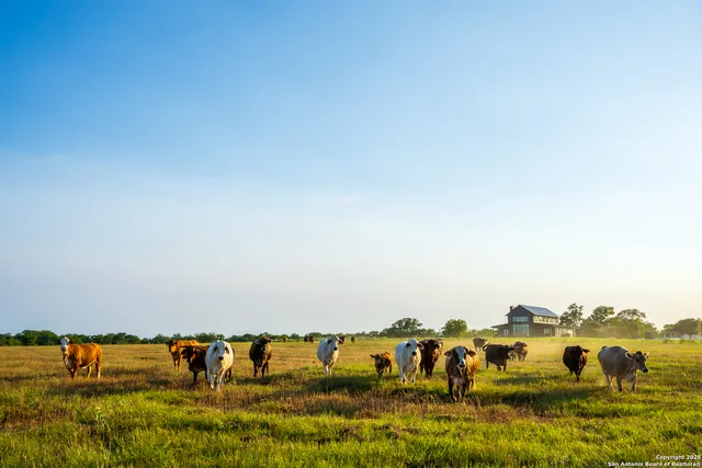 a view of houses with swimming pool