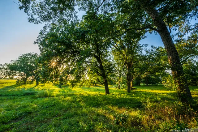 a view of yard with green space
