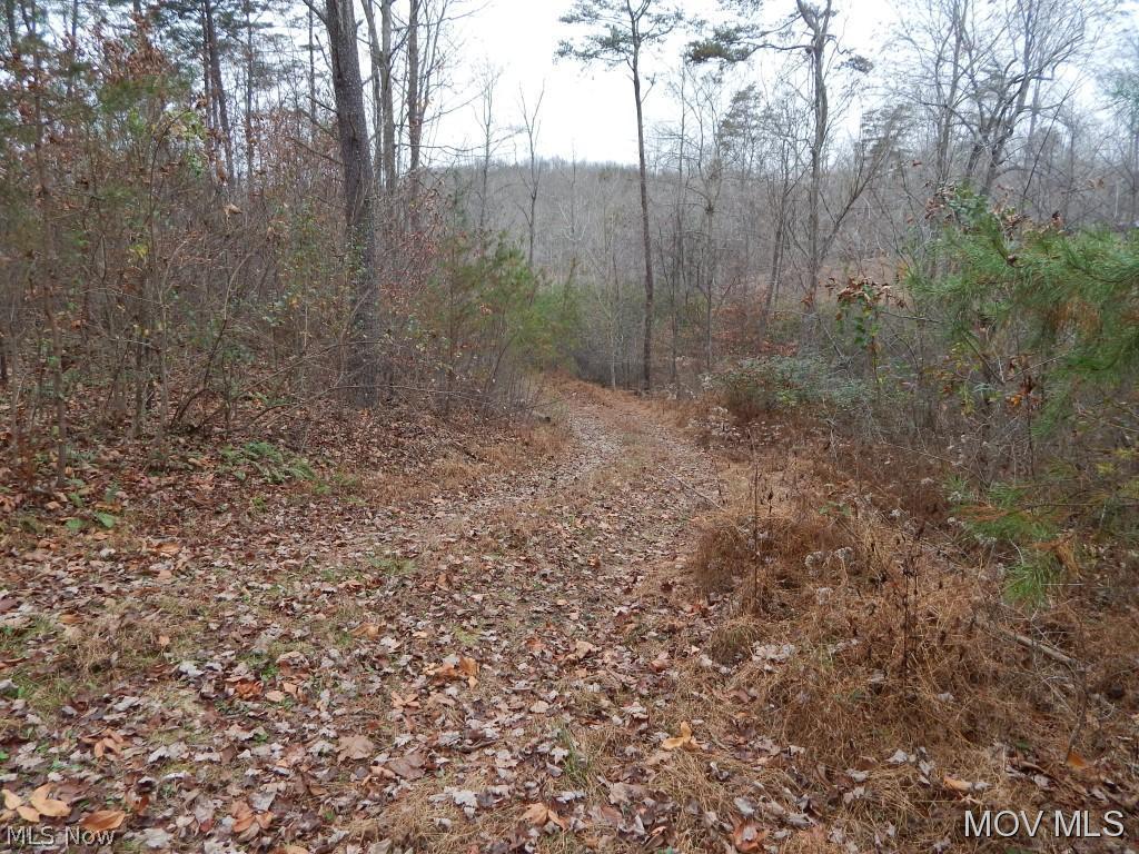 0 State Park Road Harrisville, WV 26362 - Photo 9 of 11