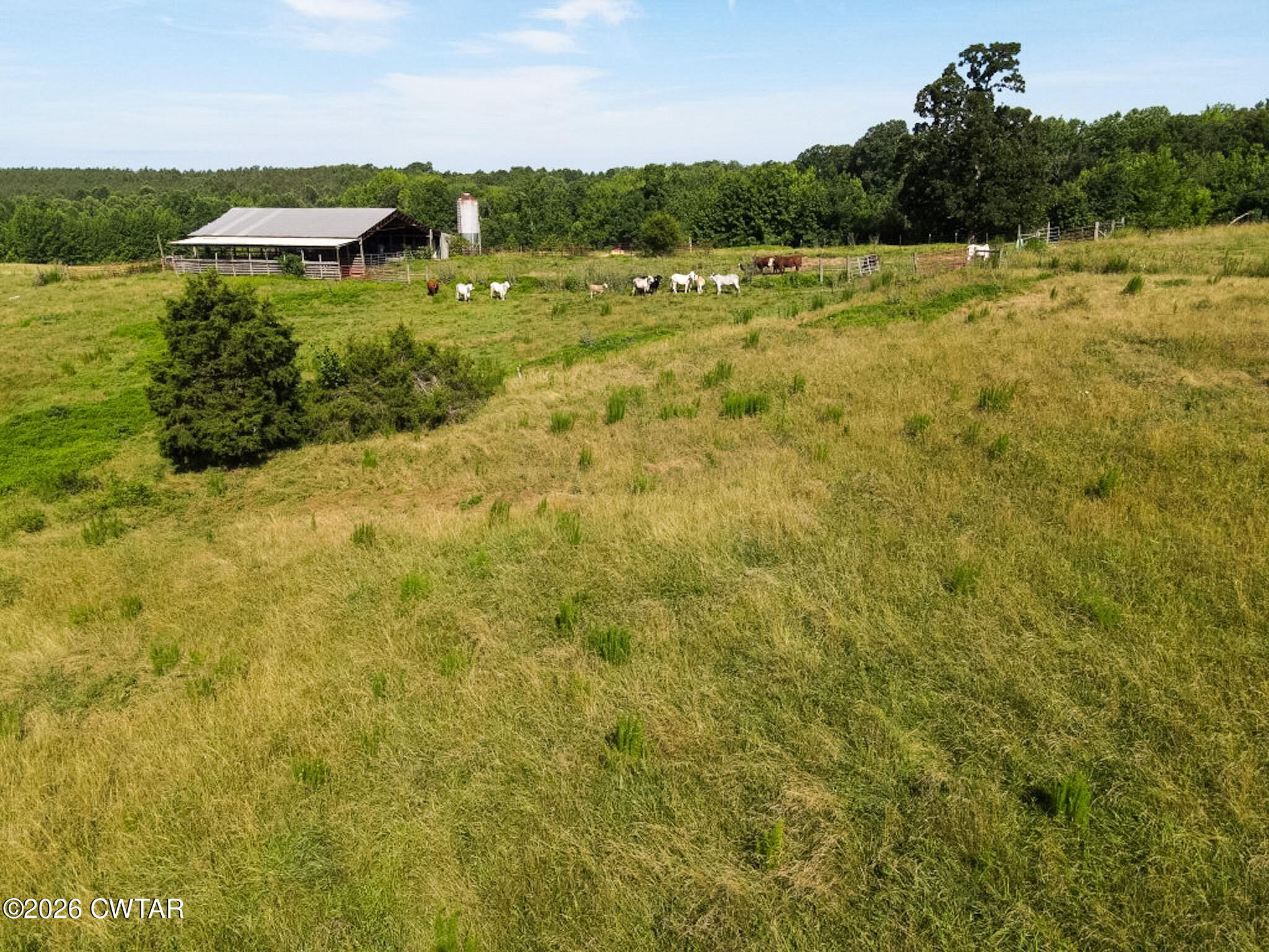 1074 McGee Road Scotts Hill, TN 38374 - Photo 24 of 38 DJI_0613 (Medium)