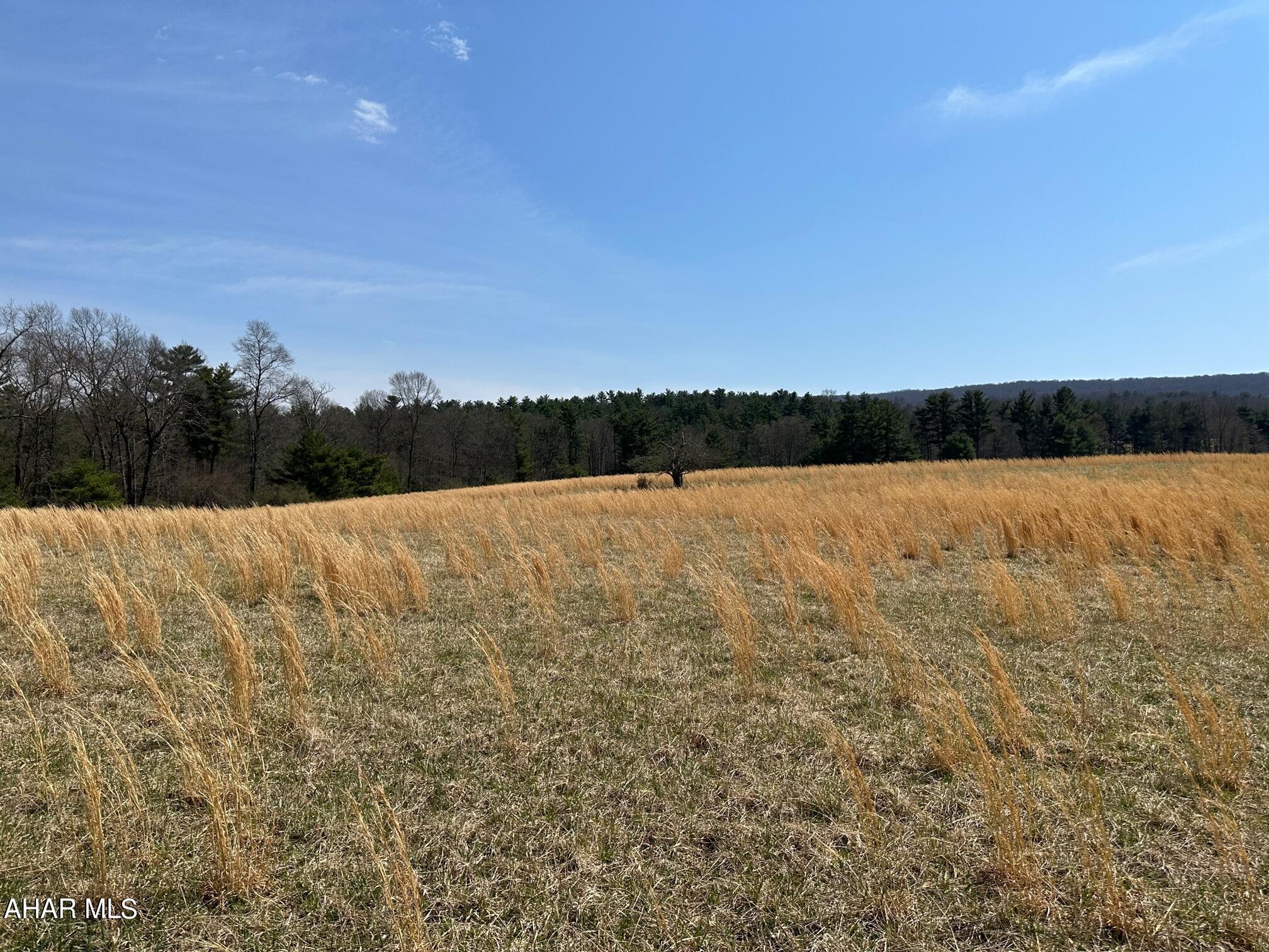 Off Barton Road Crystal Spring, PA 15536 - Photo 7 of 20 Gallery Image 7