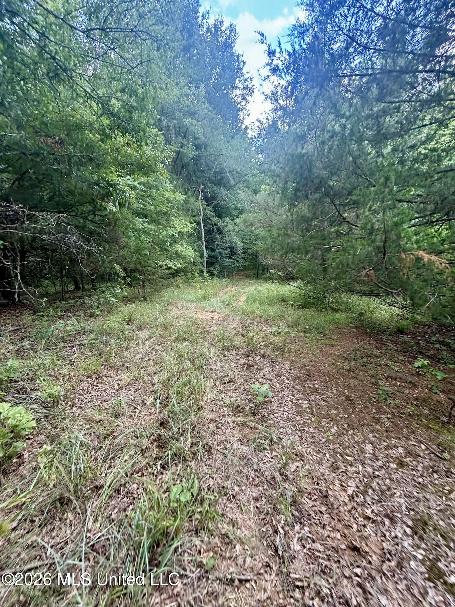 11616 Wildwood Road Vaughan, MS 39179 - Photo 6 of 27 IMG_4982