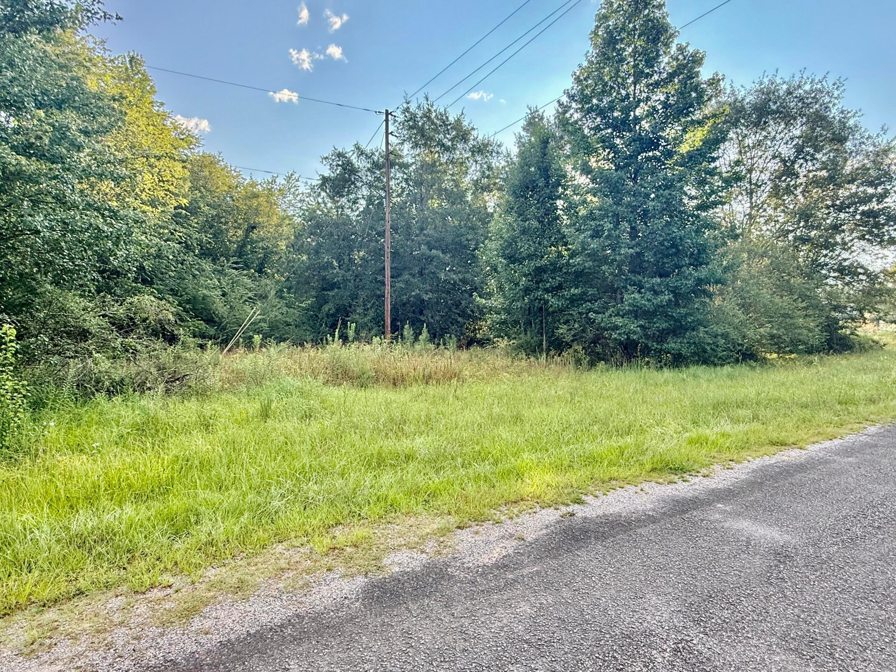 69 Trull Road Winfield, AL 35594 - Photo 7 of 7 Gallery Image 7