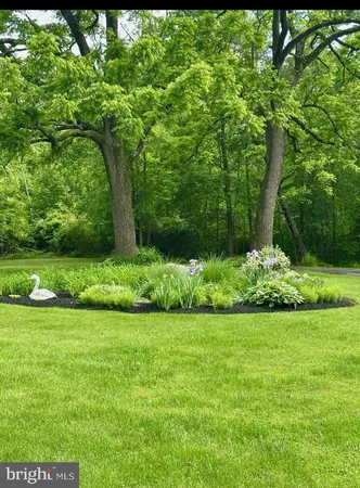 a view of a garden with plants and large trees