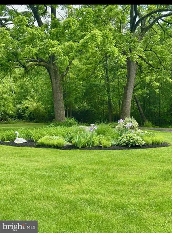 a view of a garden with plants and large trees