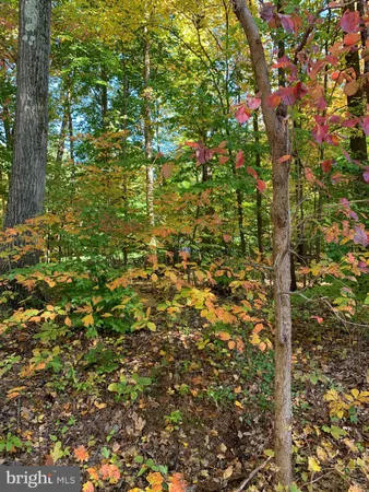 $1,450 | 2220 Old Bethlehem Pike, Unit B, Sellersville, PA 18960