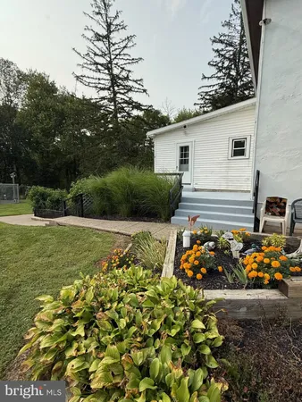 a view of a backyard with plants and a garden