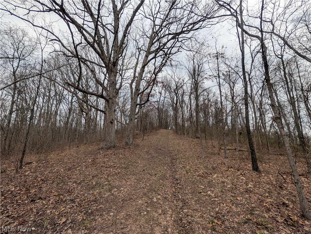 39000 Lees Run Road Cadiz, OH 43907 - Photo 24 of 49