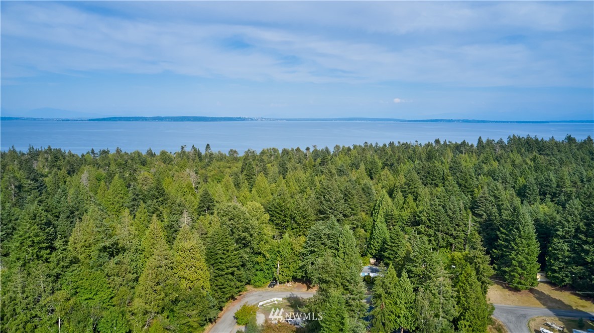 542 Boundary Bay Road Point Roberts, WA 98281 - Photo 22 of 23 a view of a green field with lots of bushes