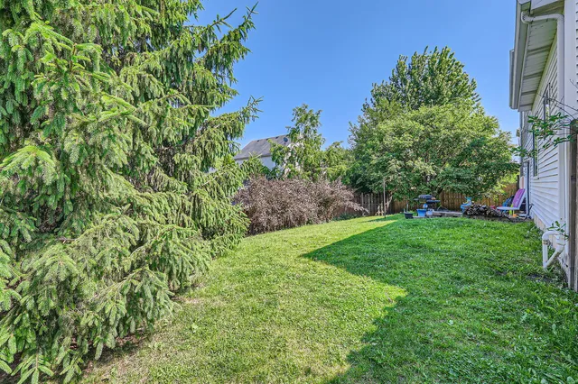 a view of a yard with plants and a tree
