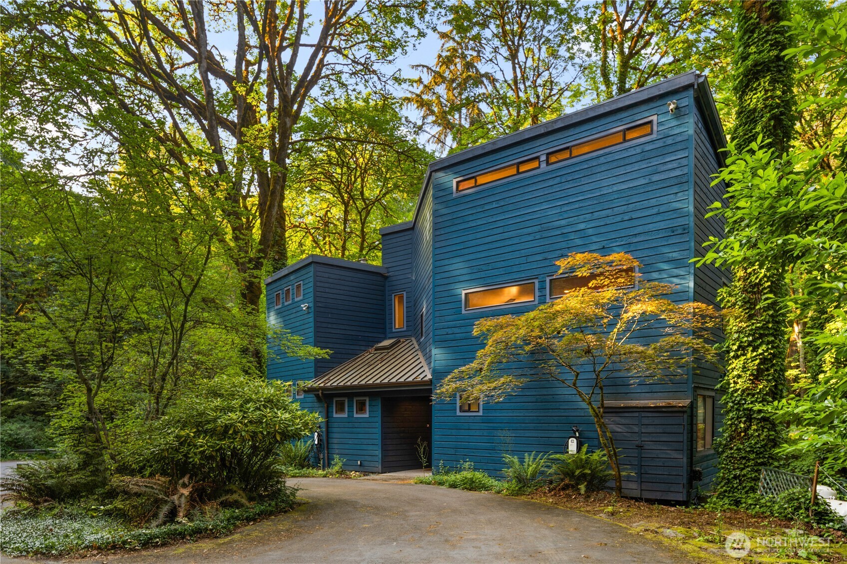 a backyard of a house with plants and large tree