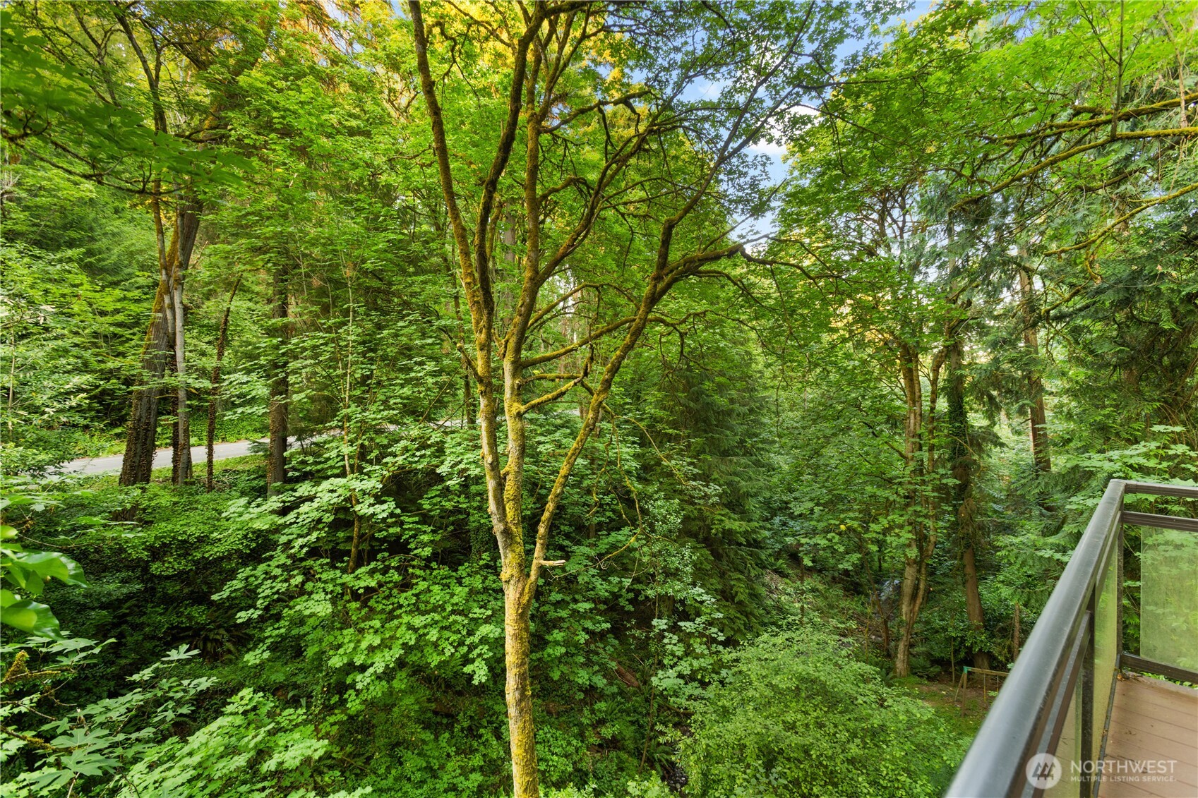 6520 East Mercer Way Mercer Island, WA 98040 - Photo 32 of 36 a view of a lush green forest from balcony
