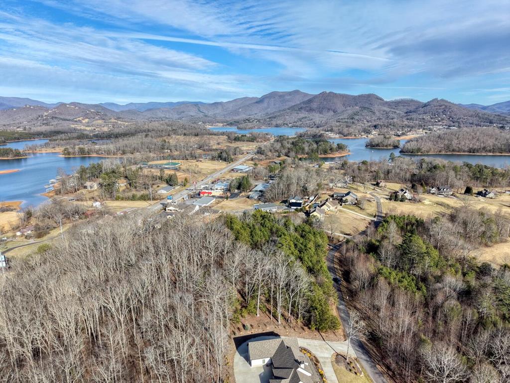 41 Hidden Fields Road Hiawassee, GA 30546 - Photo 17 of 22 an aerial view of residential houses with outdoor space and trees
