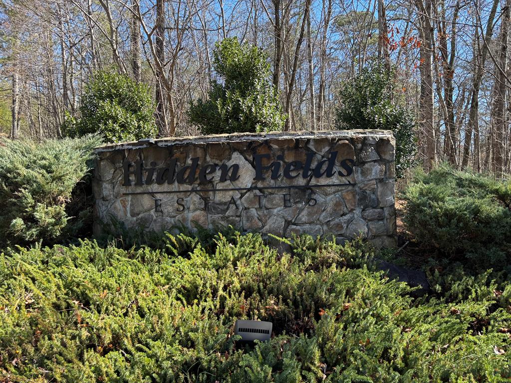 41 Hidden Fields Road Hiawassee, GA 30546 - Photo 22 of 22 a view of a garden