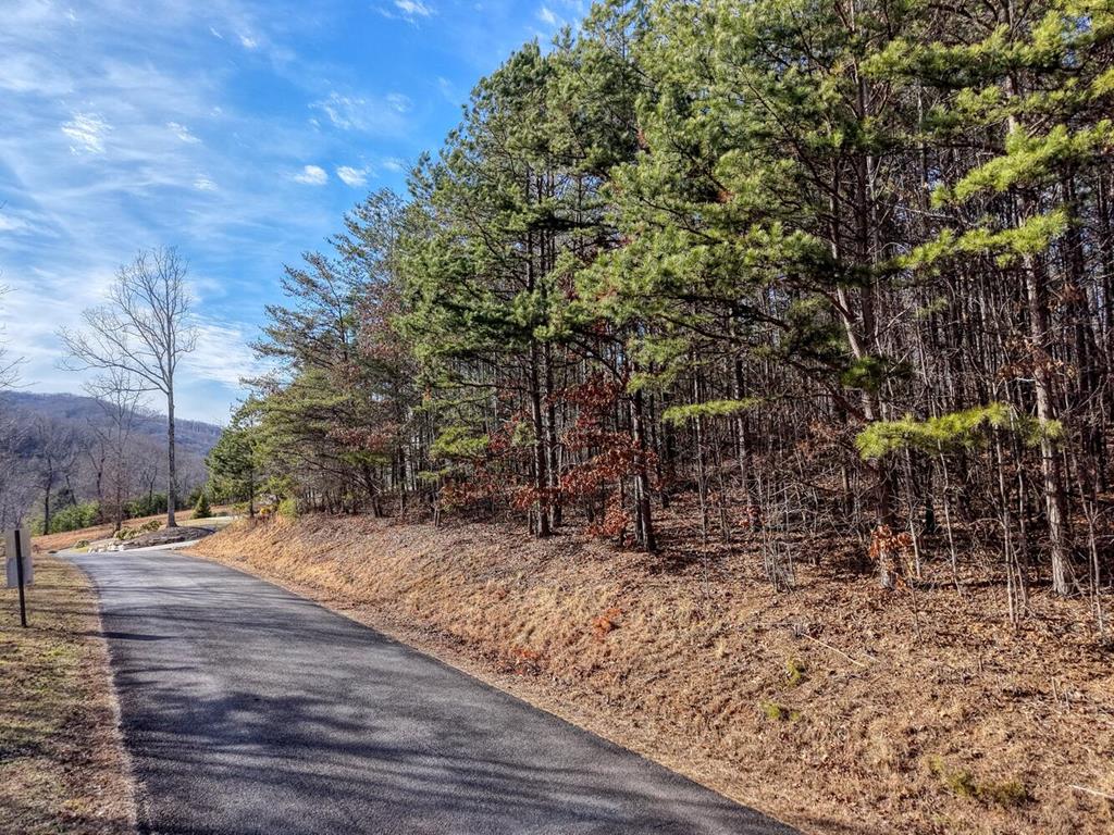 41 Hidden Fields Road Hiawassee, GA 30546 - Photo 4 of 22 a view of a yard with plants and trees