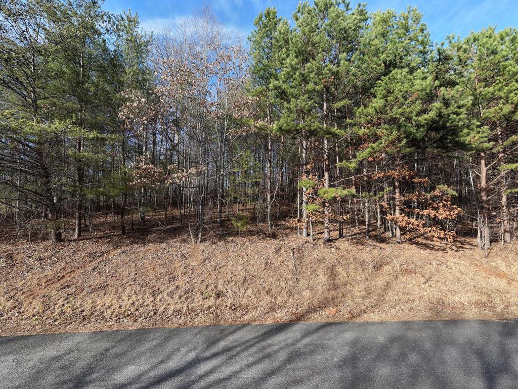 41 Hidden Fields Road Hiawassee, GA 30546 - Photo 5 of 22 a view of a yard covered in snow