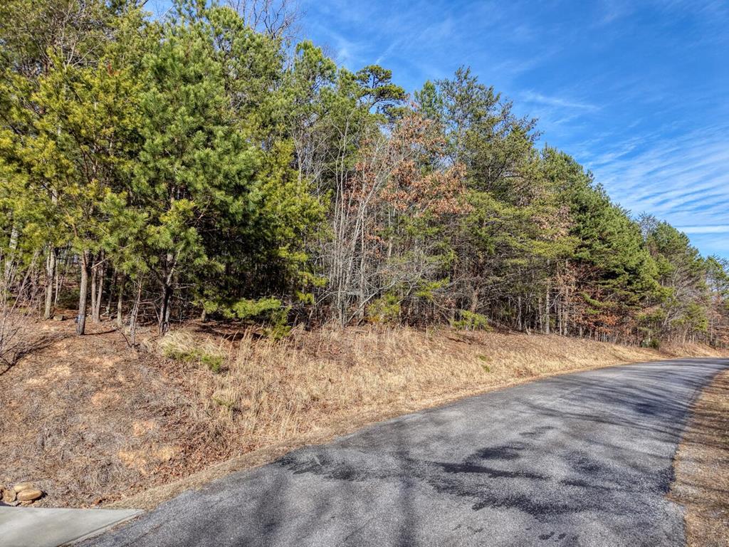 41 Hidden Fields Road Hiawassee, GA 30546 - Photo 7 of 22 a view of a yard with trees