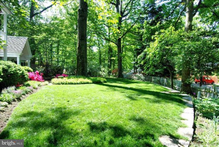 10611 Mantz Road Silver Spring, MD 20903 - Photo 19 of 30 Wooded View / Acreage
