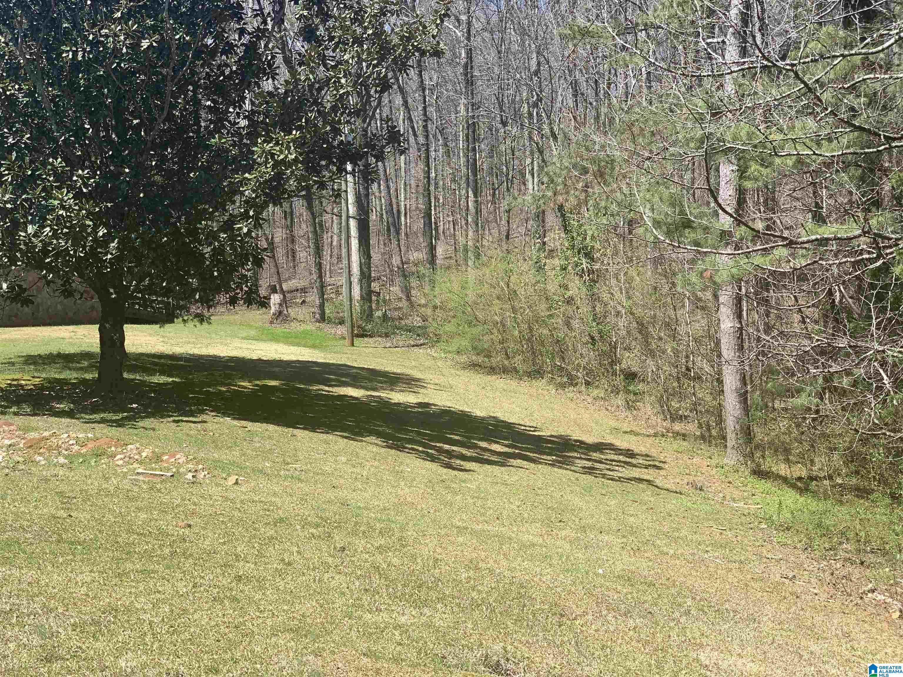 9469 Highway 11 Springville, AL 35146 - Photo 21 of 29