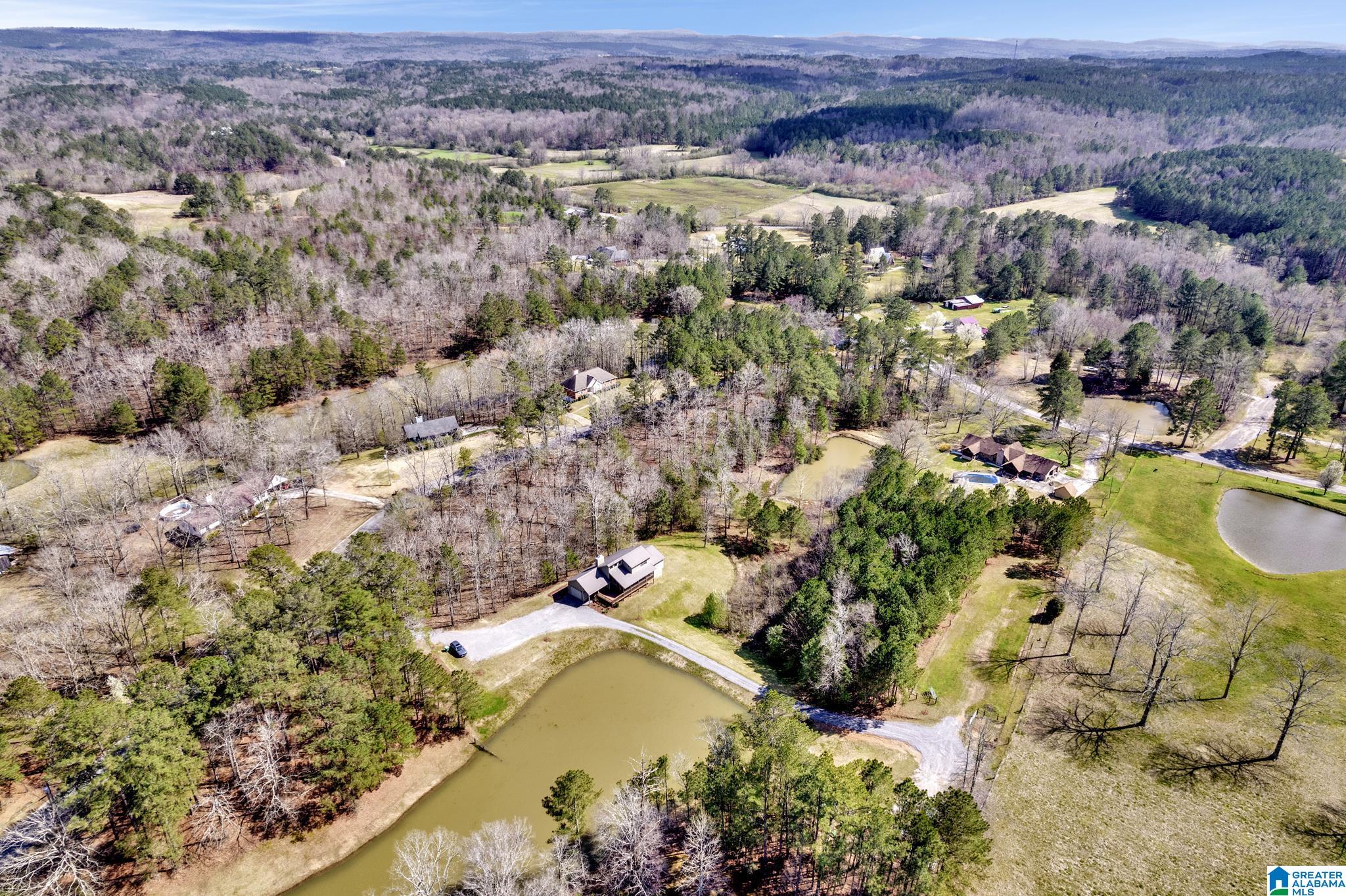 175 Skyview Trail Trafford, AL 35172 - Photo 42 of 50