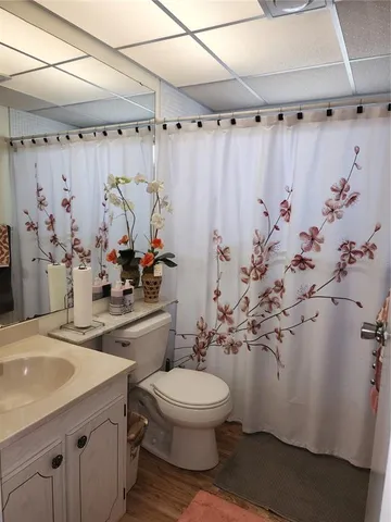 a bathroom with a sink a toilet and shower curtain