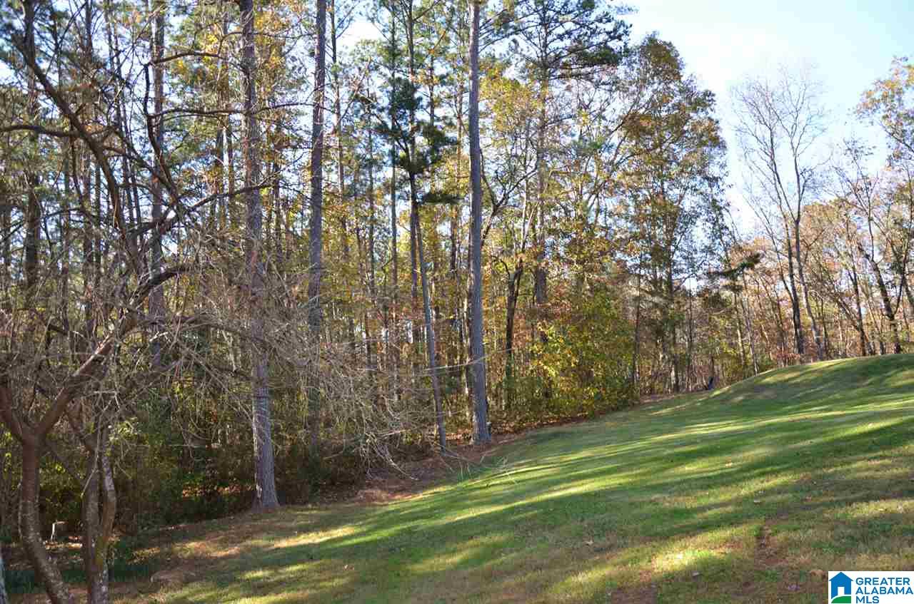 1201 Arklow Road Weaver, AL 36277 - Photo 5 of 42