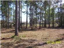 390 River Road Carrabelle, FL 32322 - Photo 1 of 1 Gallery Image 1