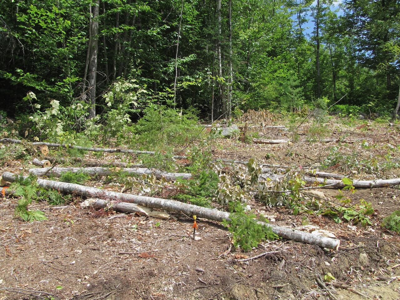 37-2 Brown Neighborhood Road Weld, ME 04285 - Photo 14 of 27