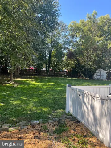 a view of a park with large trees