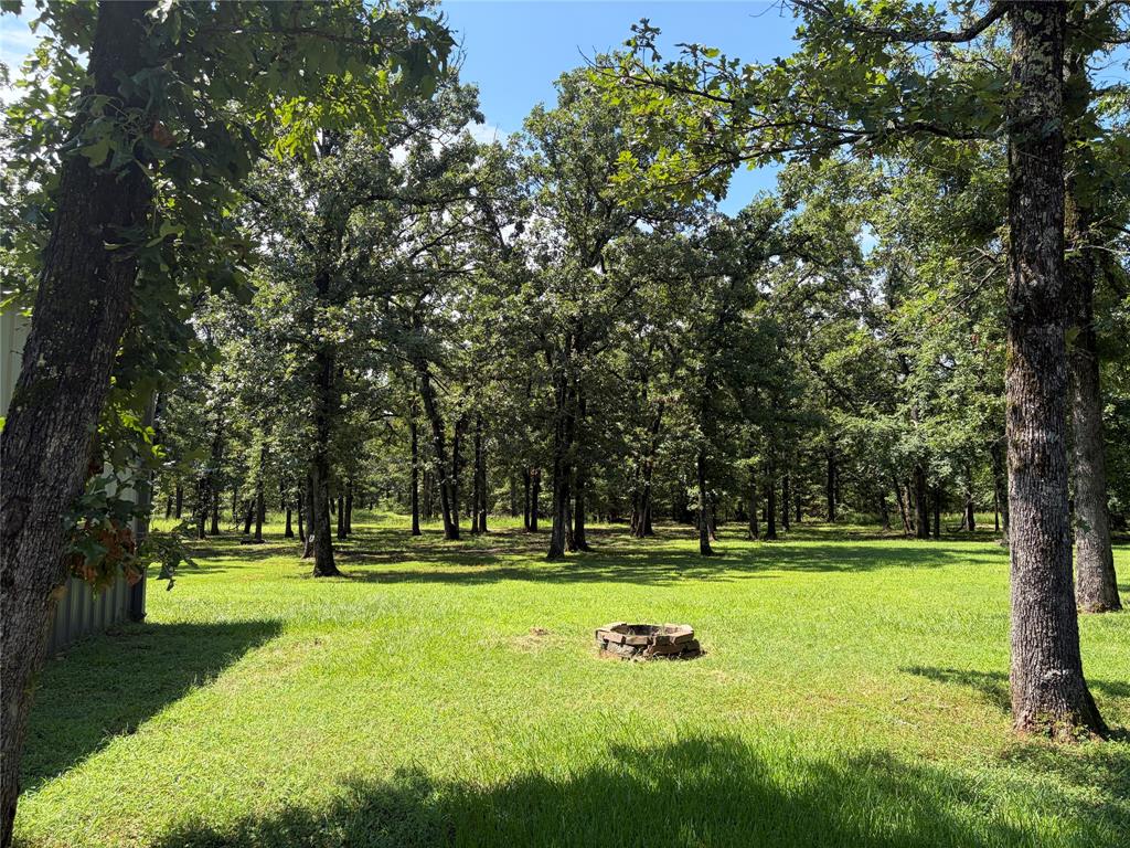320 County Road Paris, TX 75462 - Photo 4 of 25