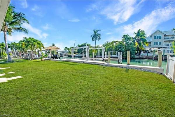 a view of a park with palm trees