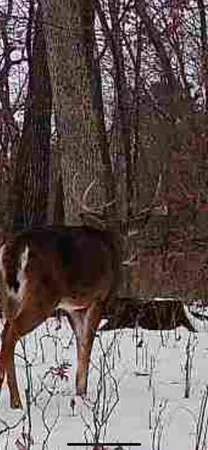 $364,900 | 26766 Co Hwy DD, Rockbridge, WI 53581