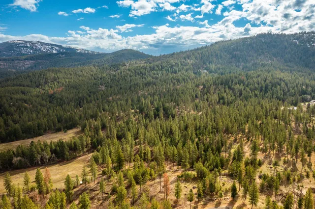 $380,000 | 179-xx East Belmont Road, Unit LOT #1, Mica, WA 99023