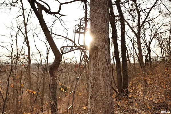 $145,000 | 31027 Co Highway 21, Griggsville, IL 62340