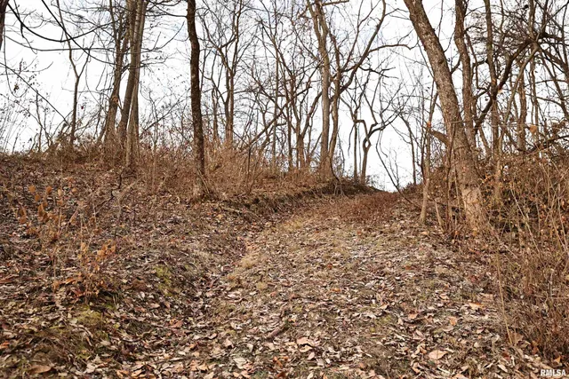 $145,000 | 31027 Co Highway 21, Griggsville, IL 62340