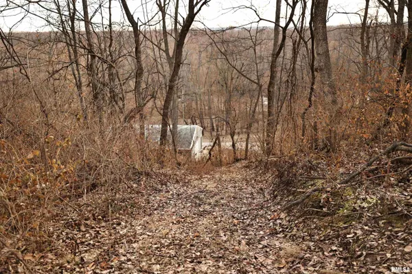 $145,000 | 31027 Co Highway 21, Griggsville, IL 62340