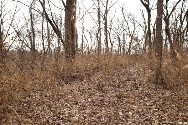 $145,000 | 31027 Co Highway 21, Griggsville, IL 62340