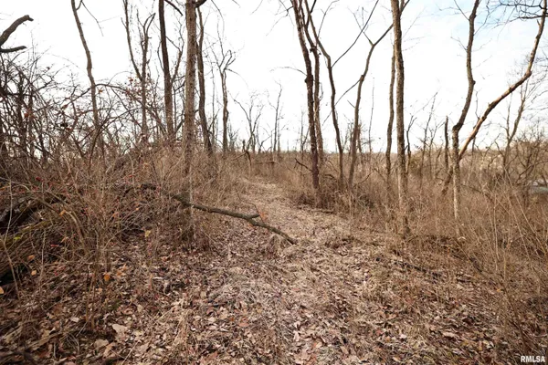 $145,000 | 31027 Co Highway 21, Griggsville, IL 62340