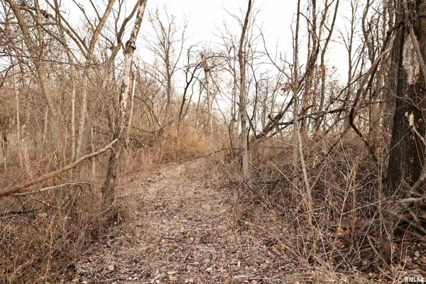 $145,000 | 31027 Co Highway 21, Griggsville, IL 62340