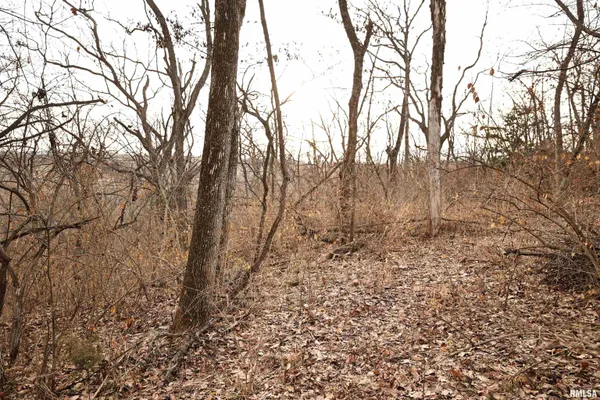 $145,000 | 31027 Co Highway 21, Griggsville, IL 62340