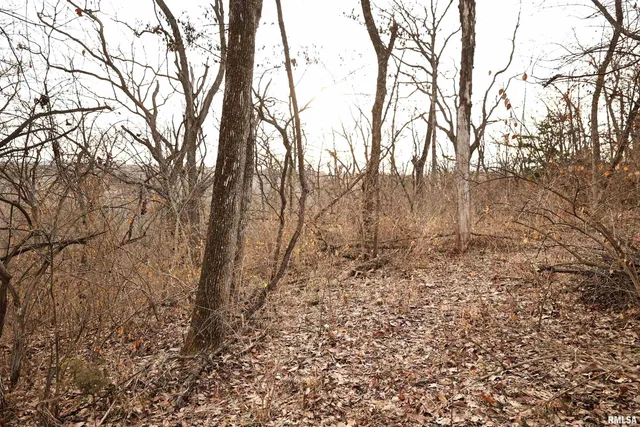 $145,000 | 31027 Co Highway 21, Griggsville, IL 62340