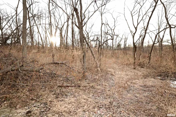 $145,000 | 31027 Co Highway 21, Griggsville, IL 62340