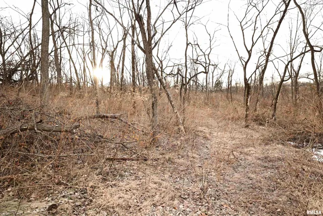 $145,000 | 31027 Co Highway 21, Griggsville, IL 62340