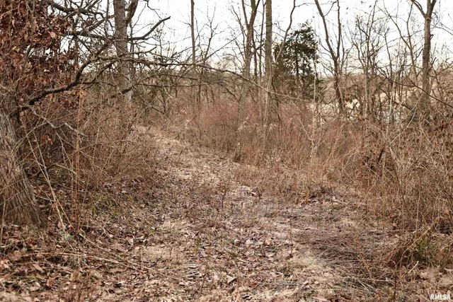 $145,000 | 31027 Co Highway 21, Griggsville, IL 62340