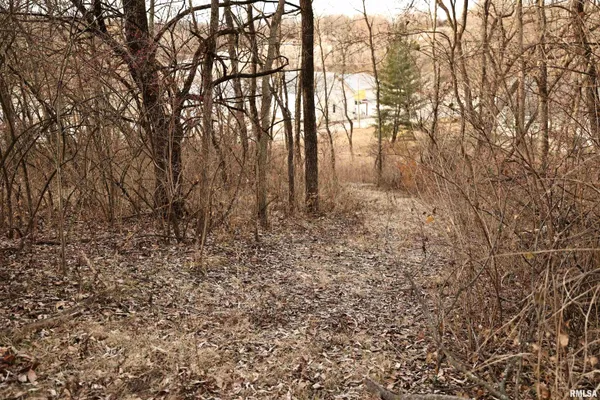 $145,000 | 31027 Co Highway 21, Griggsville, IL 62340