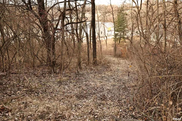 $145,000 | 31027 Co Highway 21, Griggsville, IL 62340