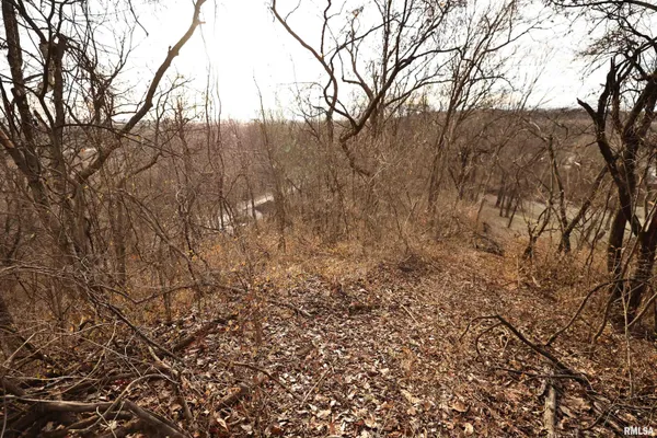 $145,000 | 31027 Co Highway 21, Griggsville, IL 62340