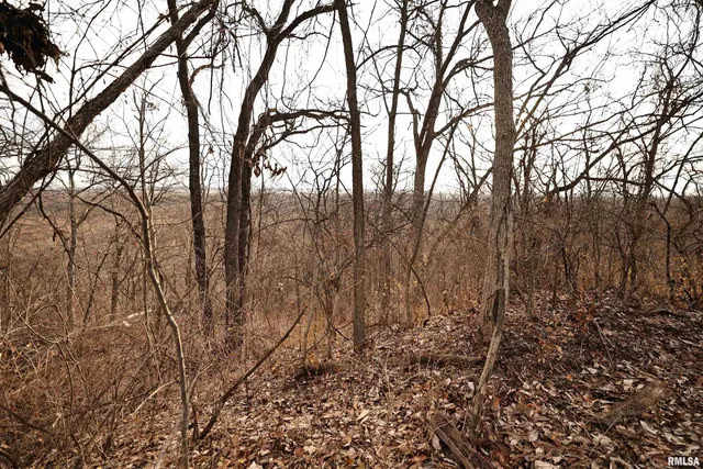 $145,000 | 31027 Co Highway 21, Griggsville, IL 62340