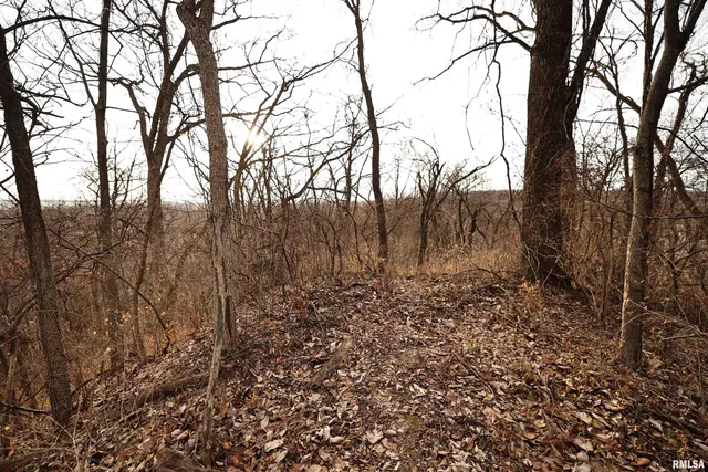 $145,000 | 31027 Co Highway 21, Griggsville, IL 62340