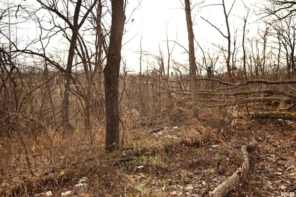 $145,000 | 31027 Co Highway 21, Griggsville, IL 62340